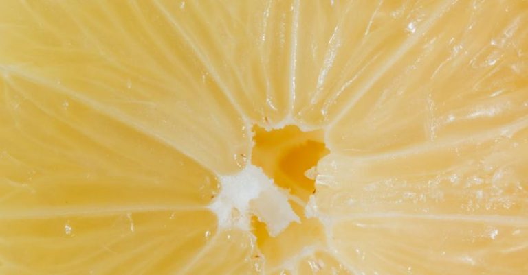 Data Center Eco - Closeup cross section of lemon with fresh ripe juicy pulp