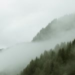 Cloud Eco - Mist above mountain slope covered with grass and dark green trees under grey sky