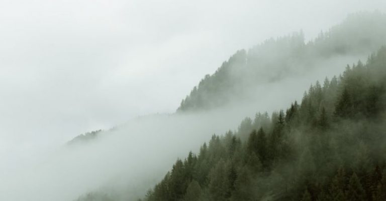 Cloud Eco - Mist above mountain slope covered with grass and dark green trees under grey sky