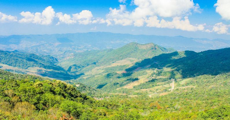 DAO - Green Mountains Photo